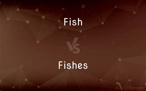 Fish vs. Fishes–What’s the difference .